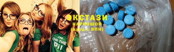 амф Каменка