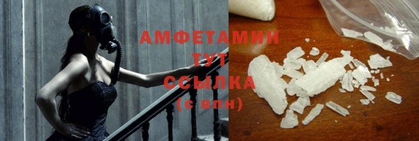гидра Карпинск