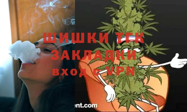 амф Каменка